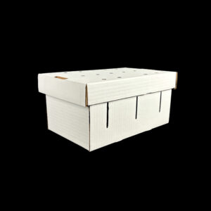 A plain white box for holding 10 pounds of bulk blueberries.