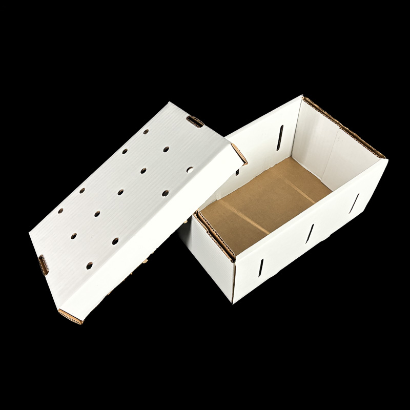 A plain white box for holding 10 pounds of bulk blueberries.