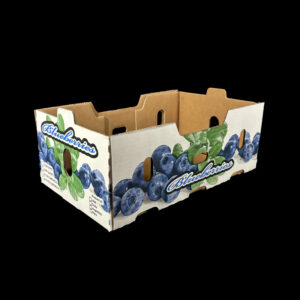 An open top corrugated box for holding 1 pint clamshells of fresh blueberries.