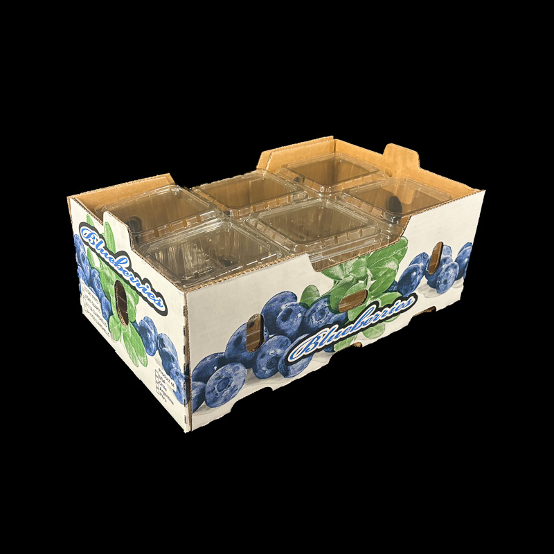 An open top corrugated box for holding 1 pint clamshells of fresh blueberries.
