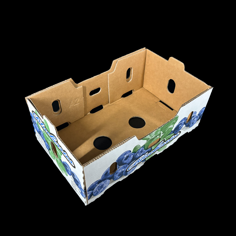 An open top corrugated box for holding 1 pint clamshells of fresh blueberries.