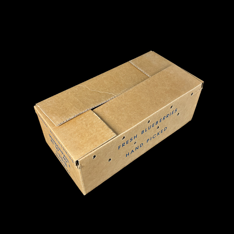 Kraft corrugated box for holding 20 pounds of blueberries.