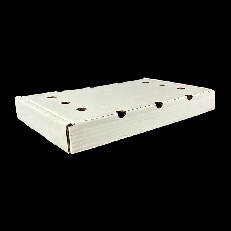 A plain white kiwi box to hold one layer of kiwi.