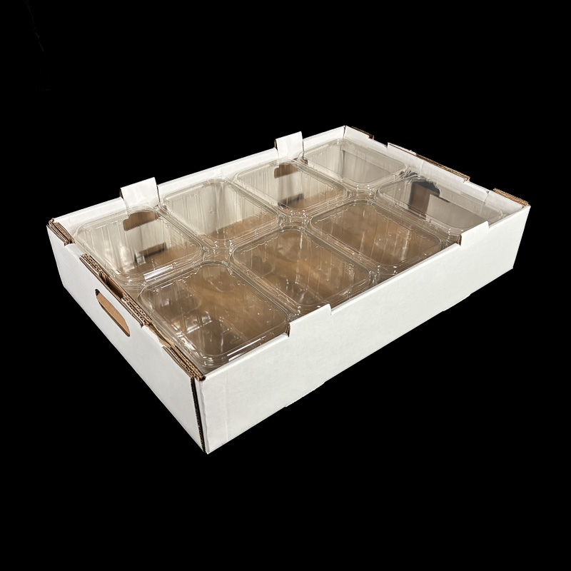 A plain white corrugated box for holding cherry or kiwi clamshells.