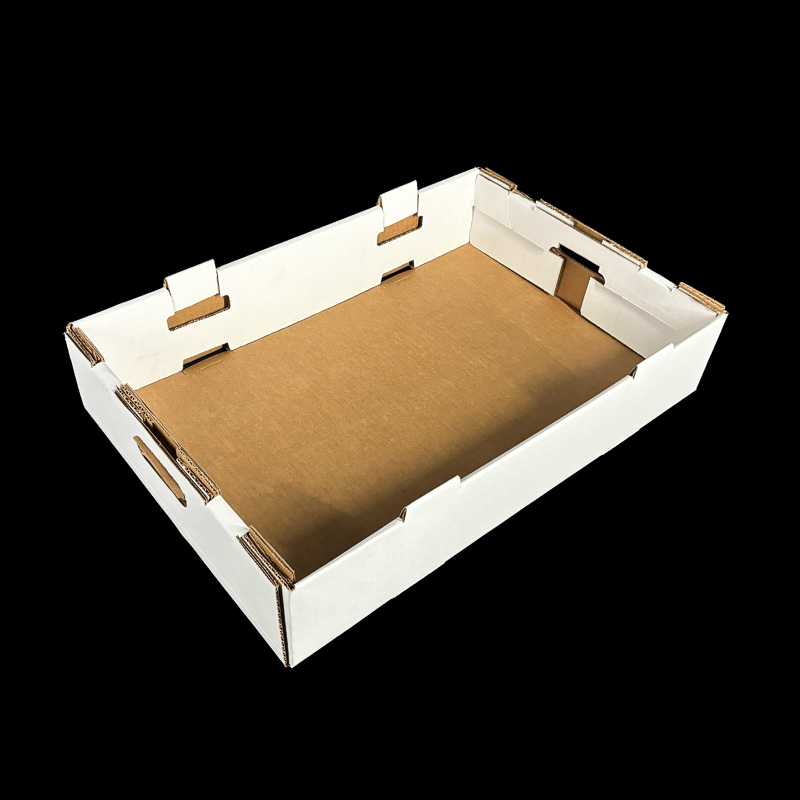 A plain white corrugated box for holding cherry or kiwi clamshells.
