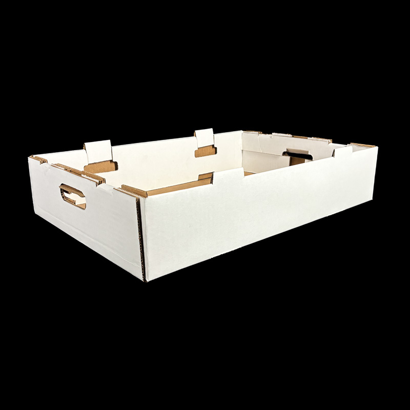 A plain white corrugated box for holding cherry or kiwi clamshells.
