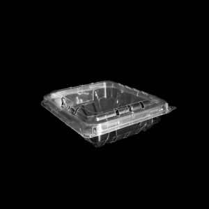 A 6 ounce clear clamshell for blueberries.