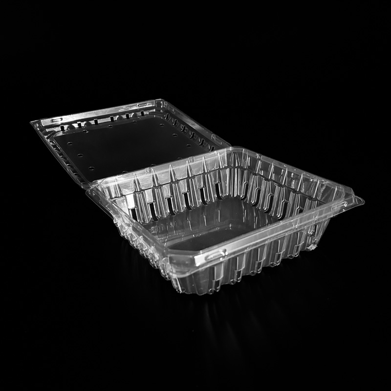 An open clear 24 oz clamshell for blueberries.