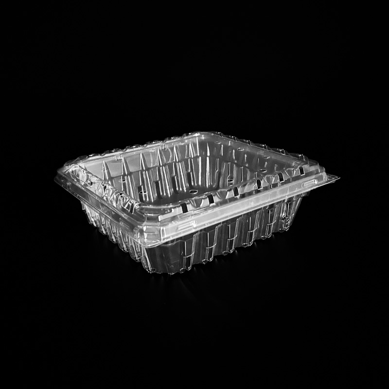 A clear 24 oz clamshell for blueberries.