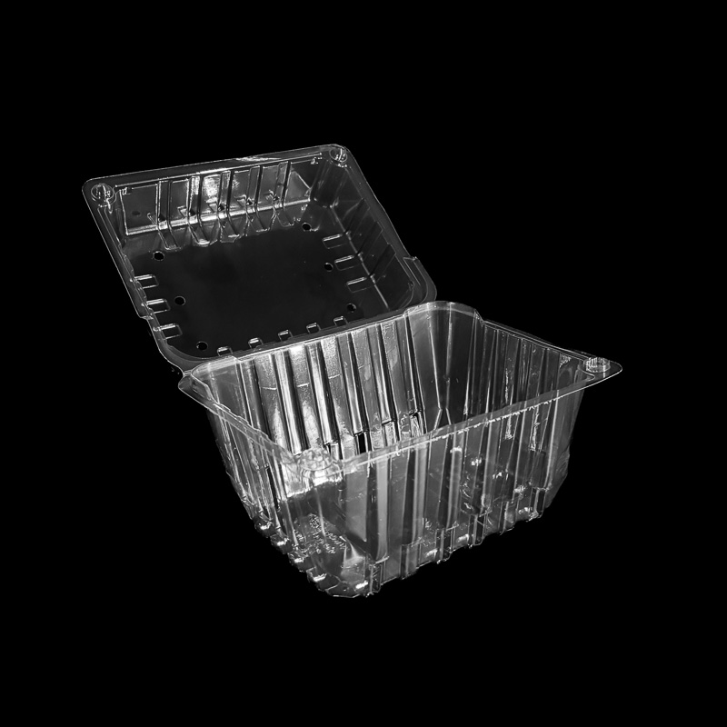 An open, clear, 2 pound clamshell for plums, grapes, and tangerines.