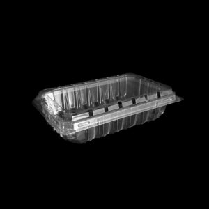 A clear 11 ounce clamshell for blueberries.