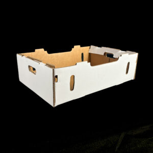 A plain white box for holding fresh produce.