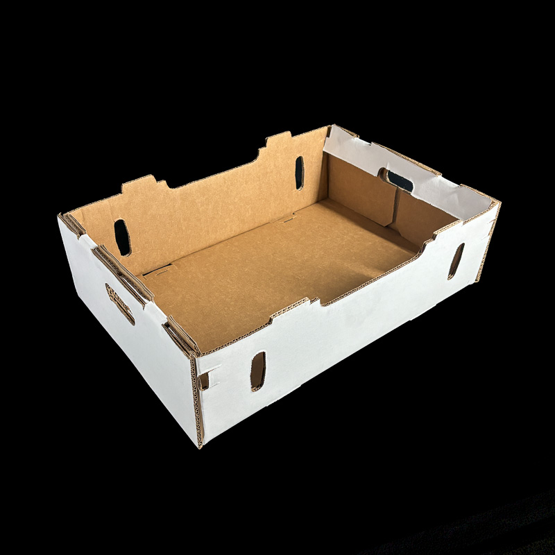 A plain white box for holding fresh produce.