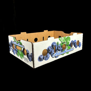 A corrugated box for holding 2 pound blueberry clamshells.