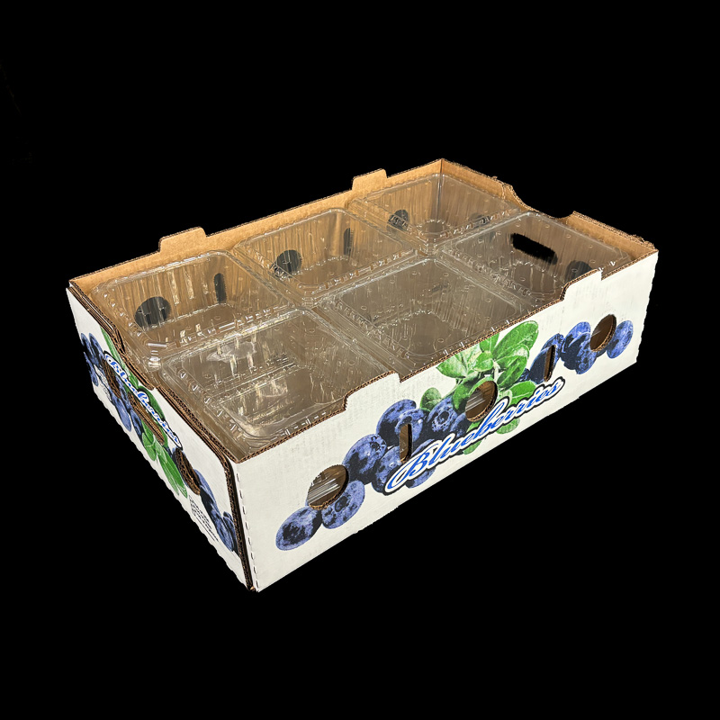 A corrugated box for holding 2 pound blueberry clamshells.