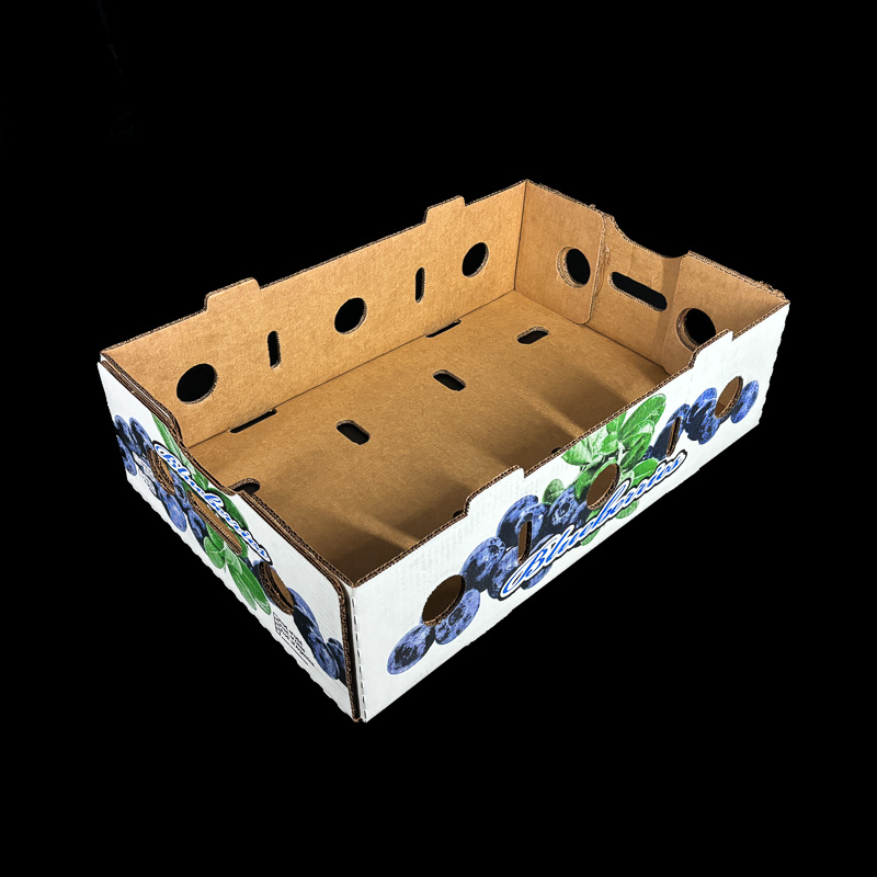 A corrugated box for holding 2 pound blueberry clamshells.