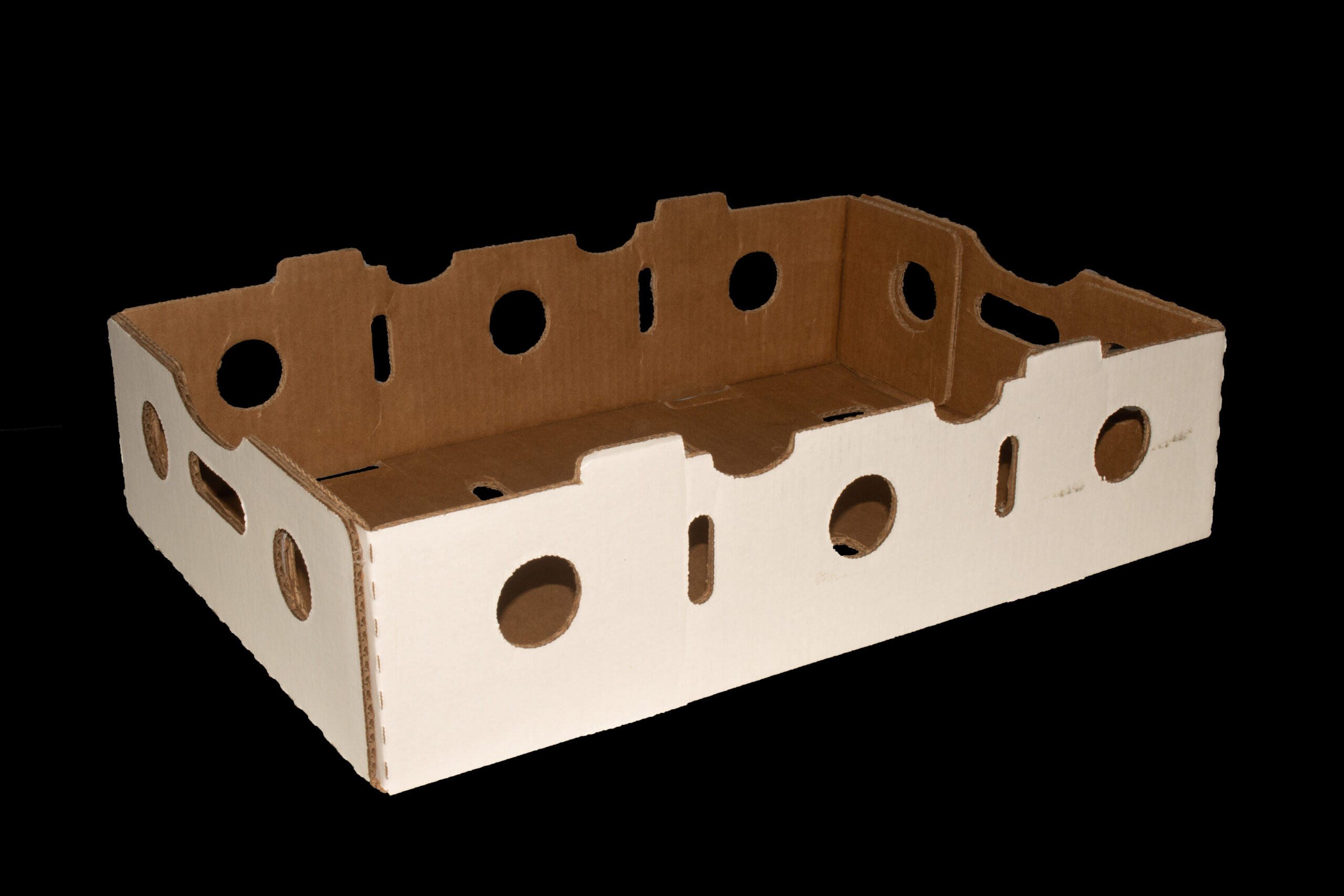 A5452 12-24oz Blueberry - Plain