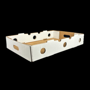 A plain white box for blueberry and kiwi clamshells.