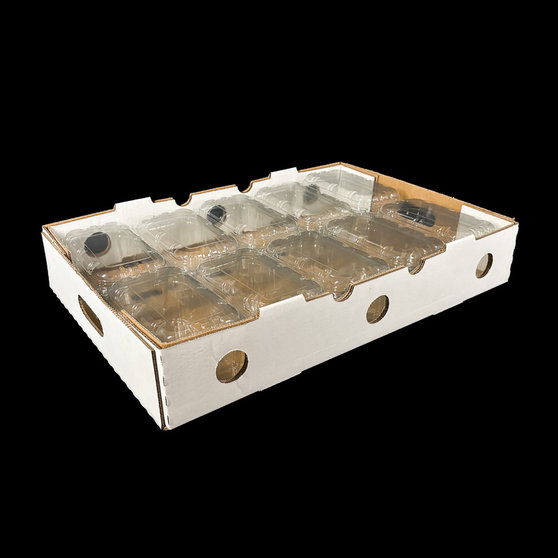 A plain white box for blueberry and kiwi clamshells.