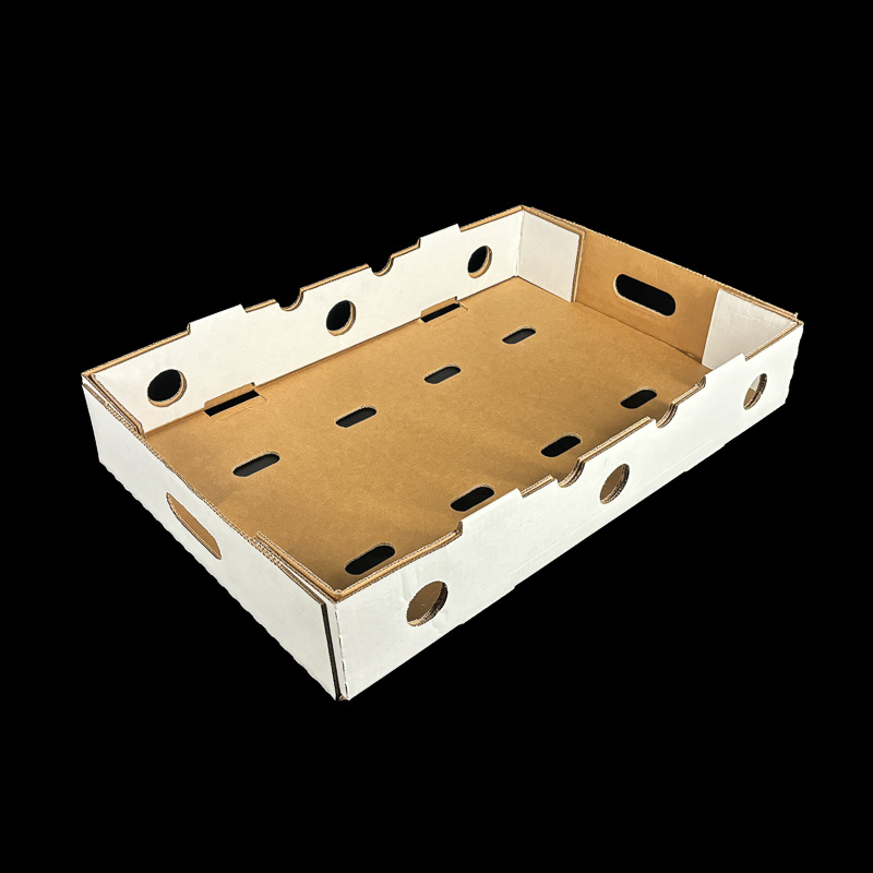 A plain white box for blueberry and kiwi clamshells.