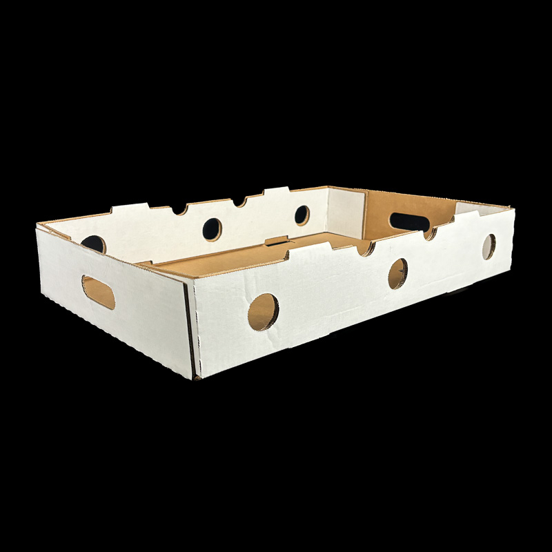 A plain white box for blueberry and kiwi clamshells.