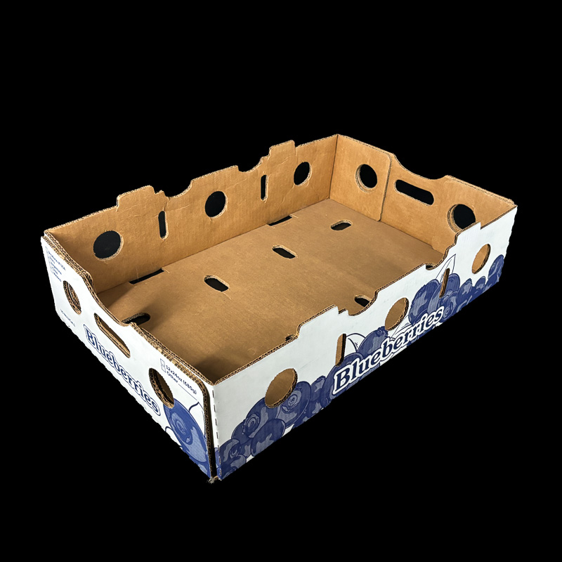 An open top box for holding 24 ounce clamshells for fresh blueberries.