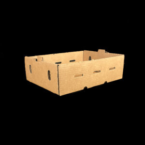 A plain Kraft corrugated box for holding kiwi.