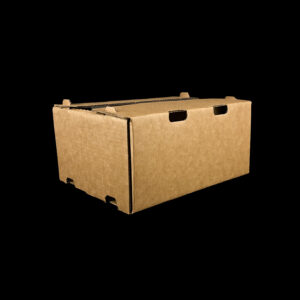 A plain Kraft box for holding 10 kilograms of fresh kiwi.