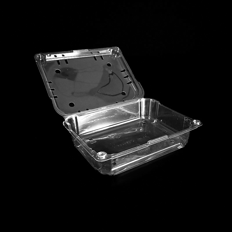 A clear clamshell for holding 1 pound of fresh kiwi.